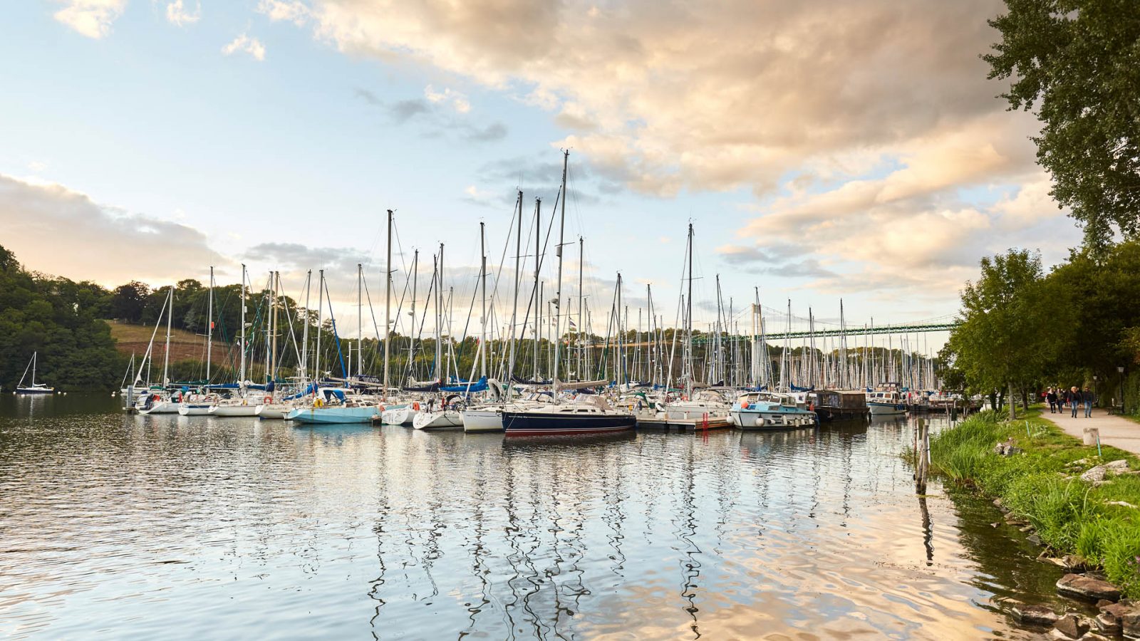 Tourisme et handicap : le guide des vacances adaptées à Damgan La Roche-Bernard ! 🫶