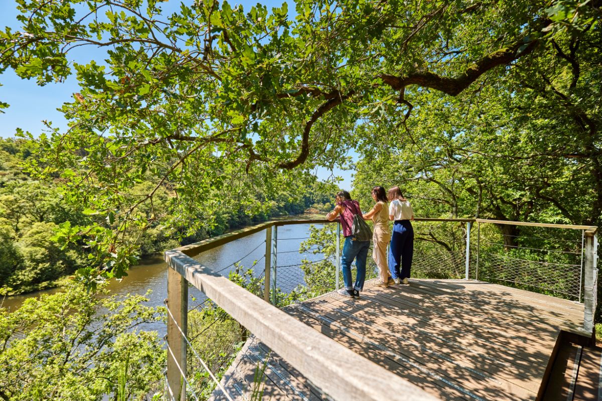 Mettez au vert en prenant de belles photos en Bretagne !