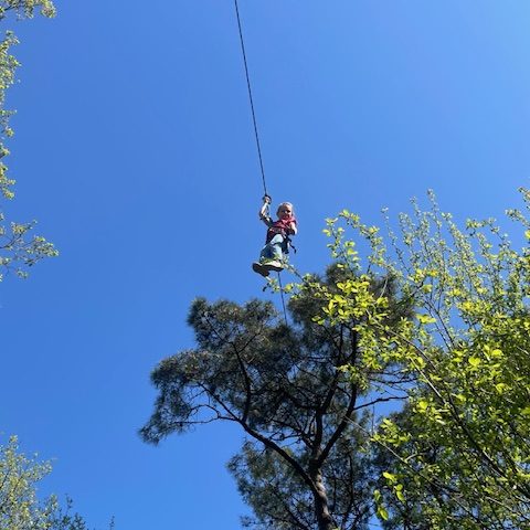 Airplane nature-Monterblanc-Morbihan