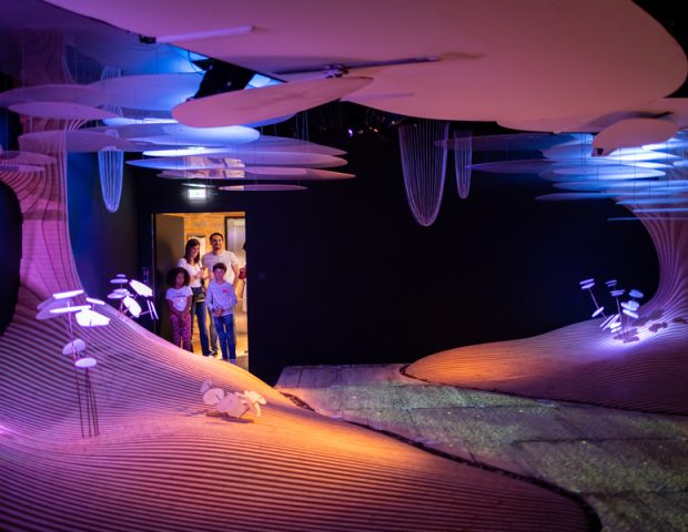 Maison Yves Rocher musée immersif La Gacilly Morbihan