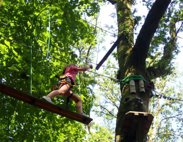 Airplane nature-Monterblanc-Morbihan