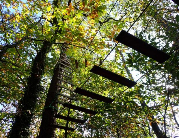 Airplane nature-Monterblanc-Morbihan