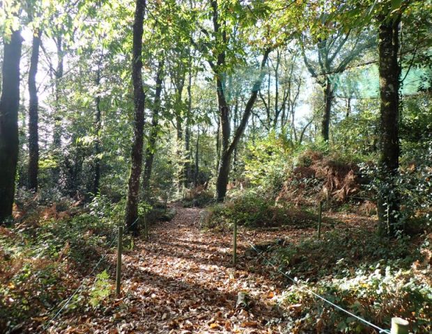 Airplane nature-Monterblanc-Morbihan