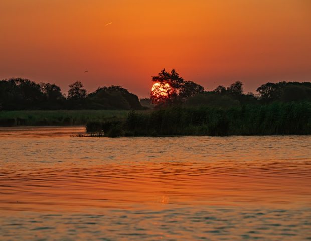Entre sel et tourbe – La Chapelle des Marais – Loire Atlantique