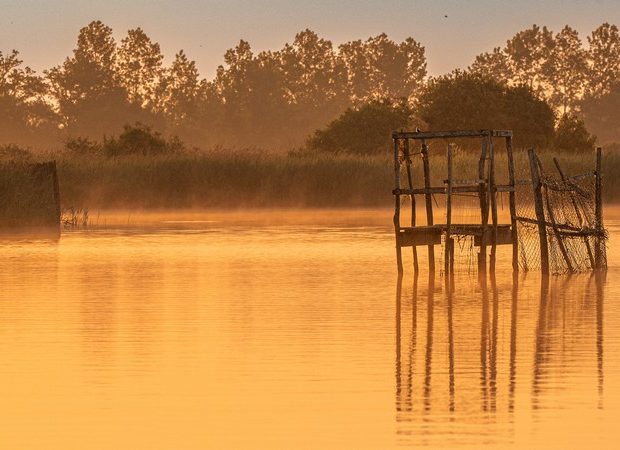 Entre sel et tourbe – La Chapelle des Marais – Loire Atlantique