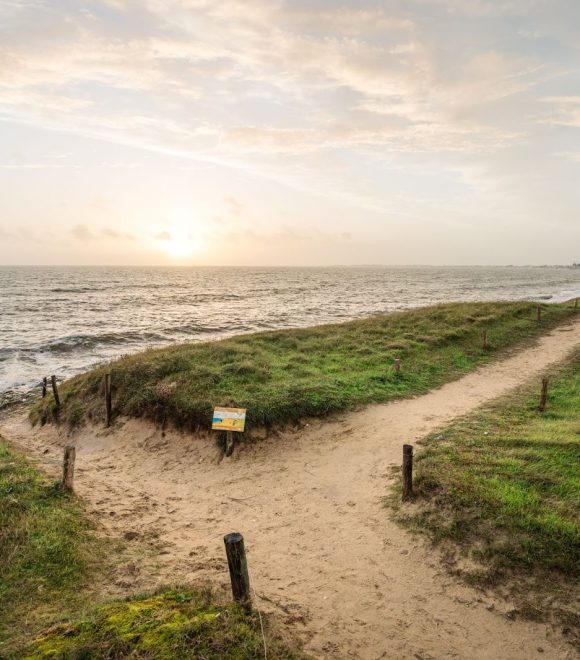 Bretagne en hiver : la saison des bonnes résolutions ! 🌟