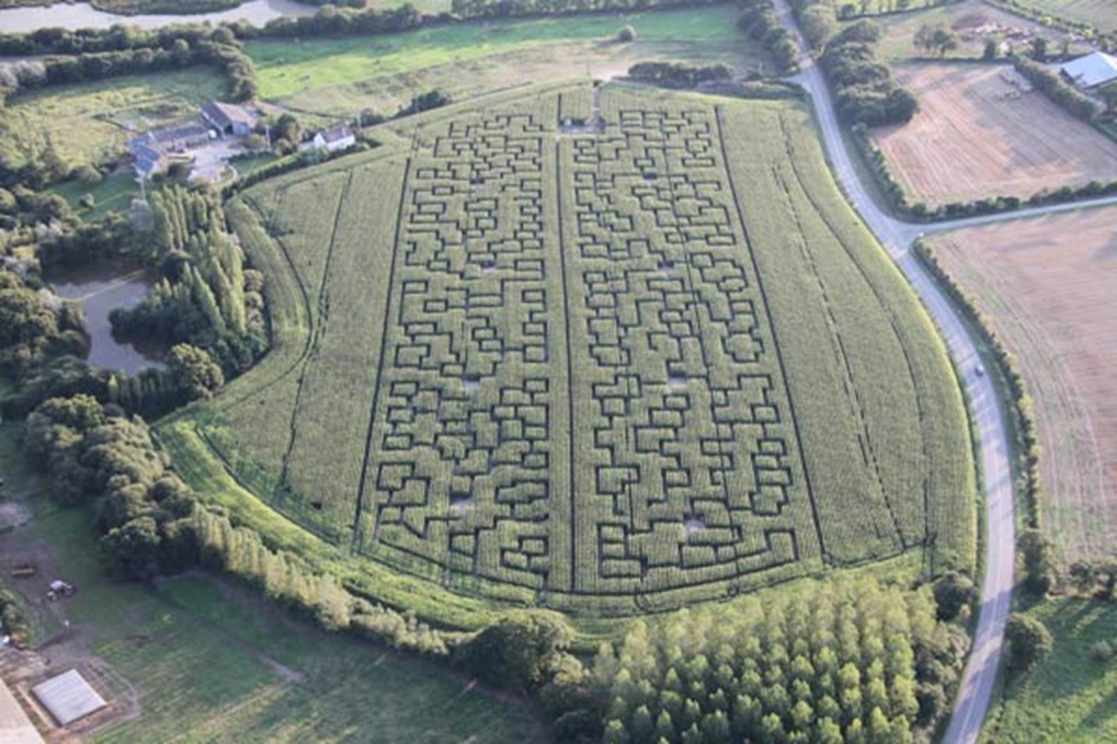 Labyrinthe géant de maïs Sarzeau Morbihan